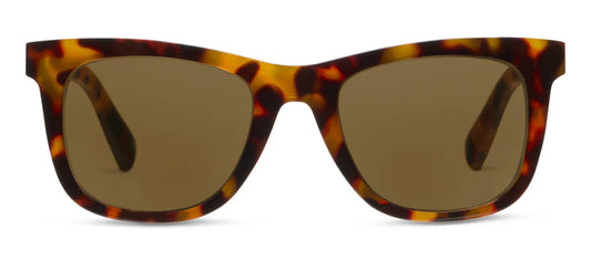 Harbor Bifocal Sunglasses Tortoise