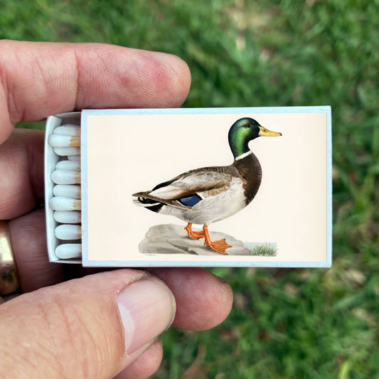 Mallard Duck Matches
