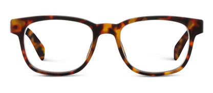 Kent Progressives Tortoise