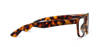 Kent Progressives Tortoise