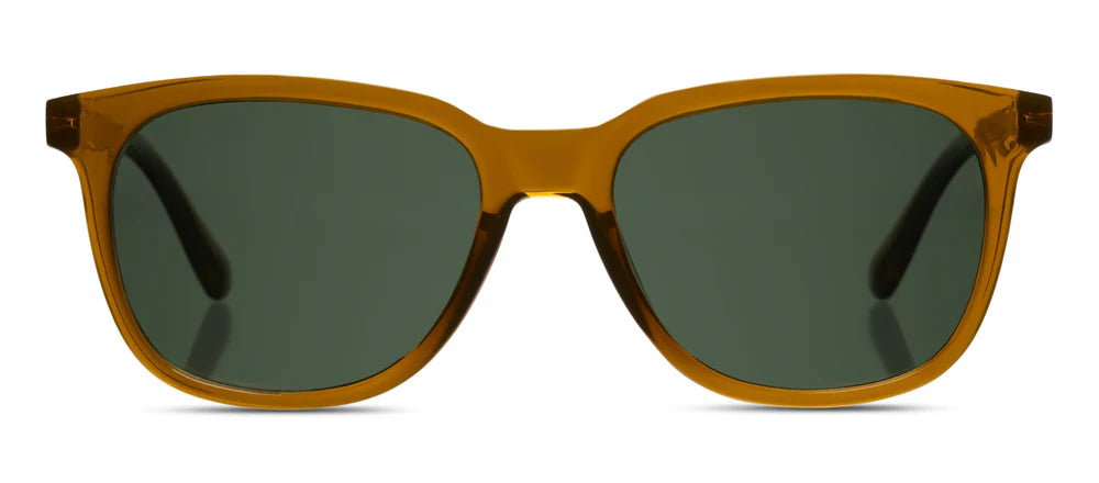 Tee Time Bifocal Sunglasses Butterscotch
