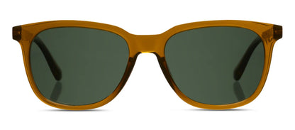 Tee Time Bifocal Sunglasses Butterscotch