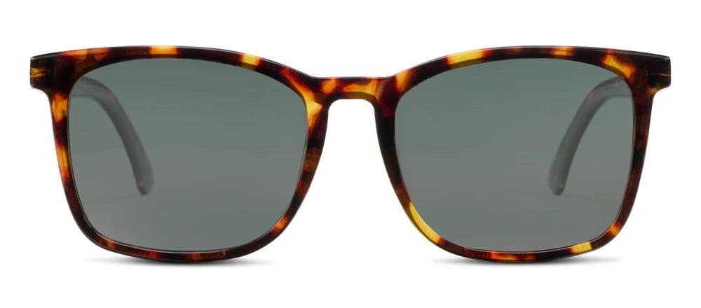 Mateo Bifocal Sunglasses Tortoise