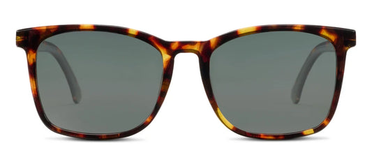 Mateo Bifocal Sunglasses Tortoise