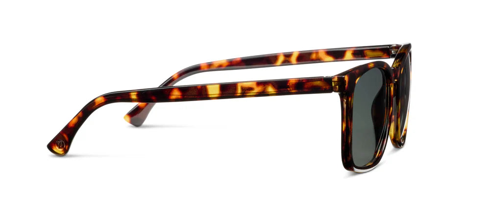 Mateo Bifocal Sunglasses Tortoise