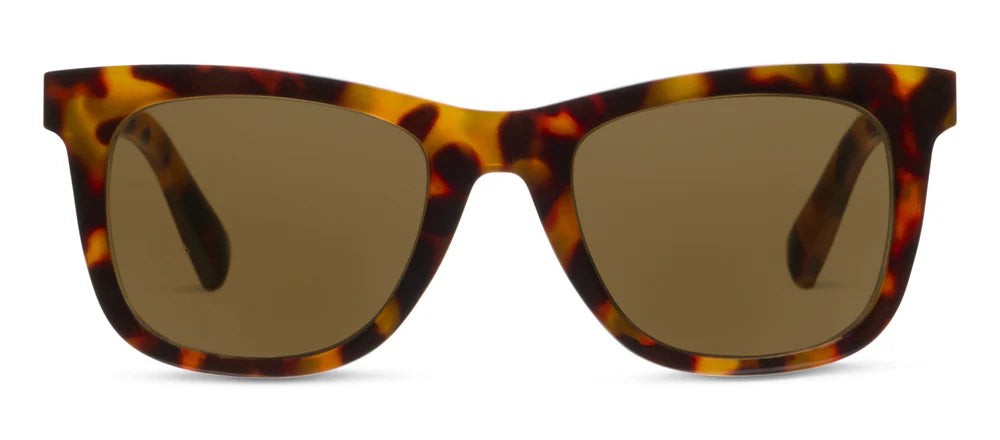Harbor Bifocal Sunglasses Tortoise